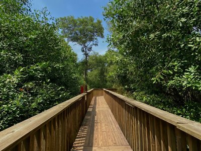 Galería de barranquilla