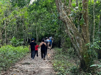 Galería de amazonas
