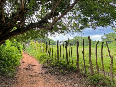 Galería de isla fuerte