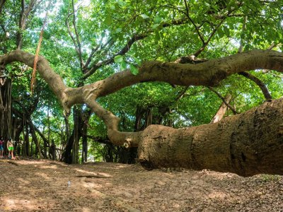 Galería de isla fuerte