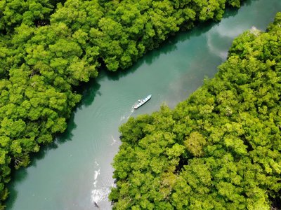 Galería de coveñas