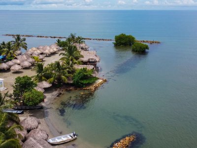 Galería de coveñas