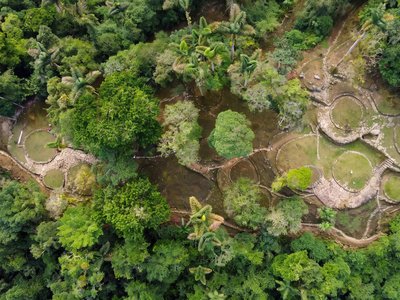 Galería de ciudad perdida