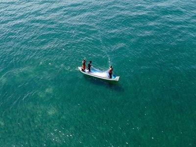 Galería de isla palma