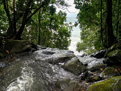 Galería de bahía solano