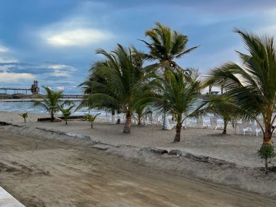 Galería de coveñas