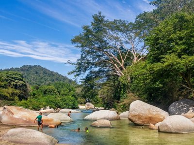 Galería de palomino