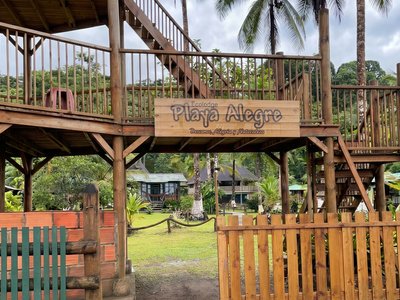 Galería de bahía solano