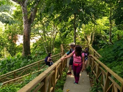 Galería de sapzurro