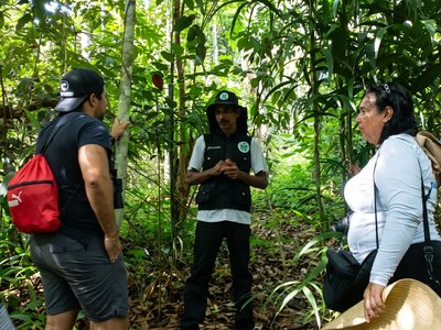 Galería de tierralta