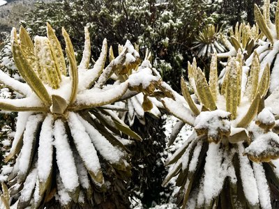 Galería de nevado del ruiz