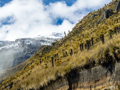 Galería de nevado del ruiz