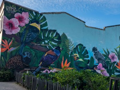 Galería de cali