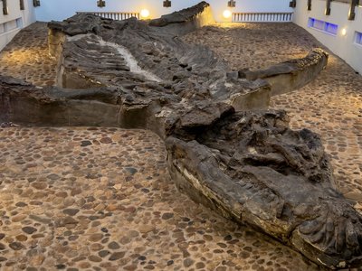 Galería de villa de leyva
