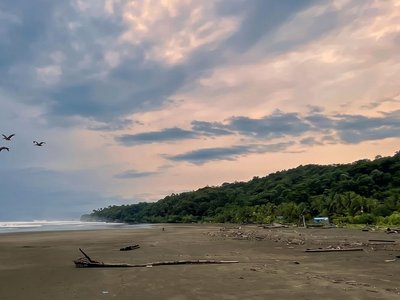Galería de bahía solano