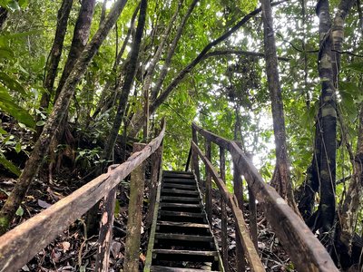 Galería de bahía solano