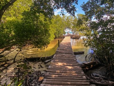 Galería de isla tintipán