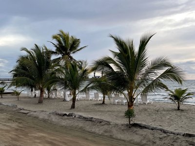 Galería de tolú