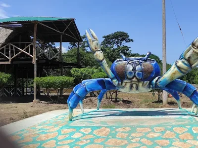 Galería de puerto escondido
