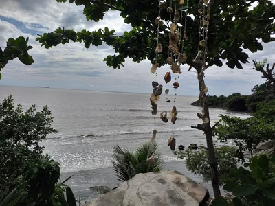 Galería de puerto escondido