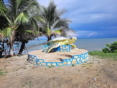 Galería de puerto escondido