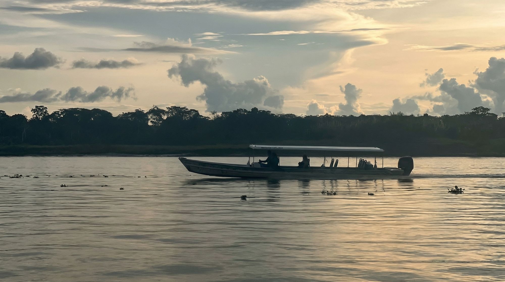 amazonas