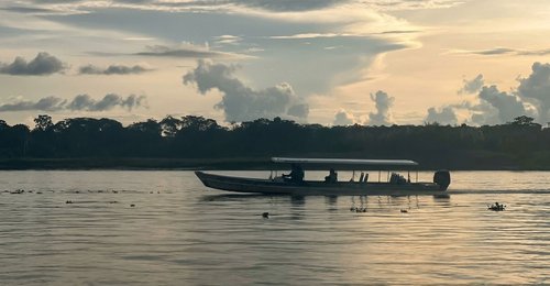amazonas