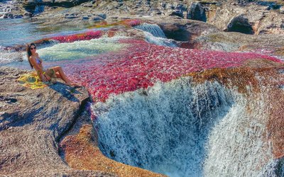 Caño Cristales