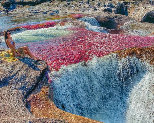 Caño Cristales