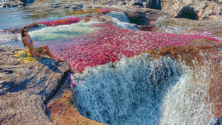 Caño Cristales