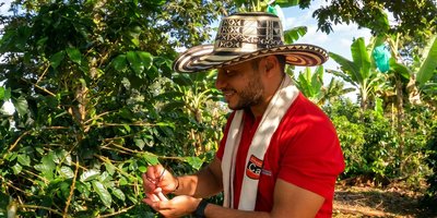 eje cafetero