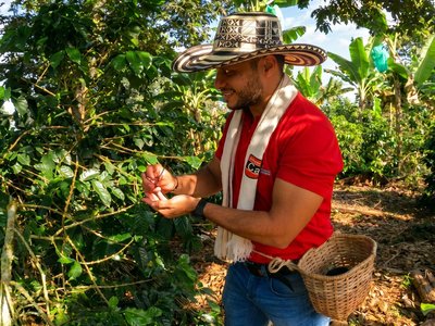 Eje Cafetero