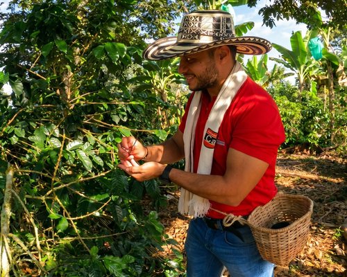 Eje Cafetero