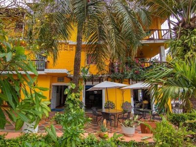 HOTEL PALMA REAL