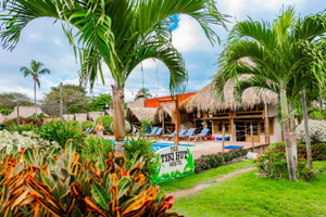 Tiki Hut Hostel