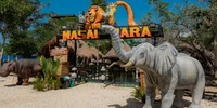 Hotel Marbelha Safari Beach 