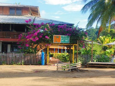 Hotel HOTEL PLAYA DE ORO