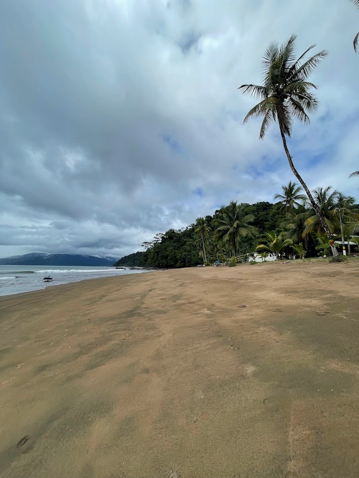 Bahía Solano: Ballenas a la vista