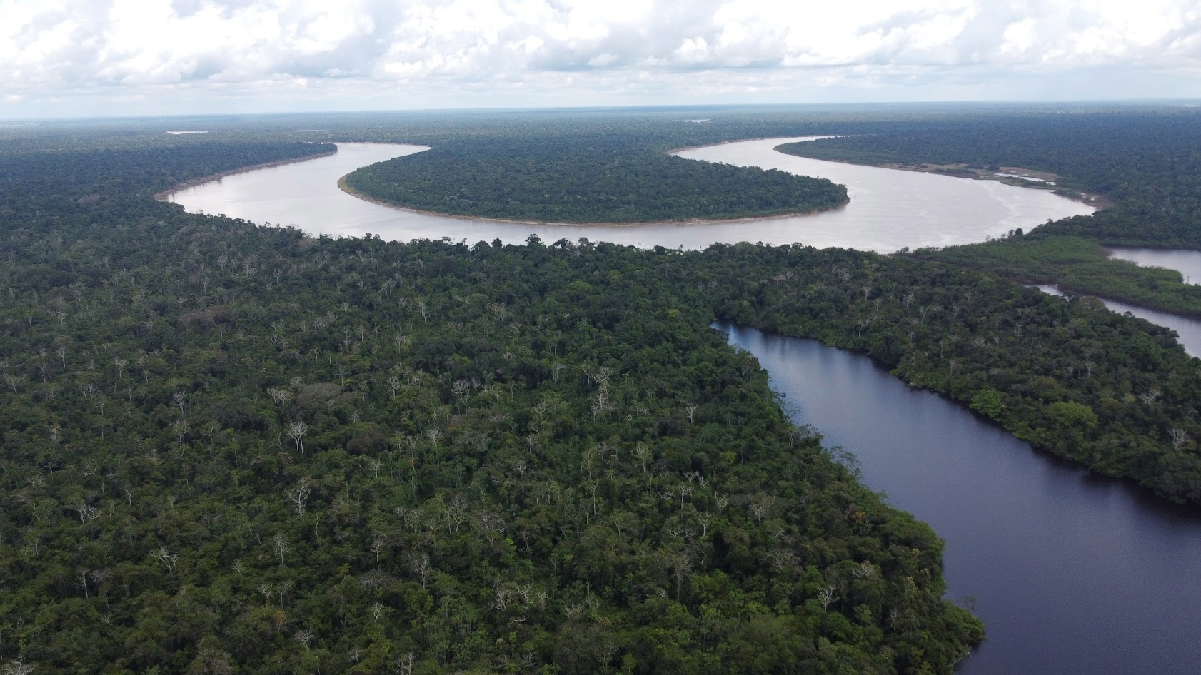 Amazonas: Navega por sus ríos, explora la selva y maravíllate con su biodiversidad