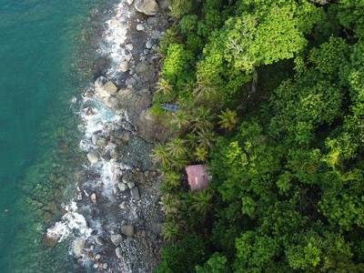 Capurganá: Descubre playas vírgenes, caminatas mágicas y aventuras caribeñas desde Necoclí