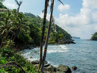 Capurganá: Descubre playas vírgenes, caminatas mágicas y aventuras caribeñas desde Necoclí