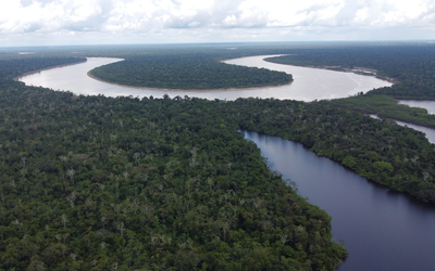 Amazonas: Navega por sus ríos, explora la selva y maravíllate con su biodiversidad