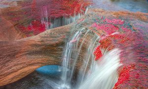 Cano Cristales: El río de los cinco colores