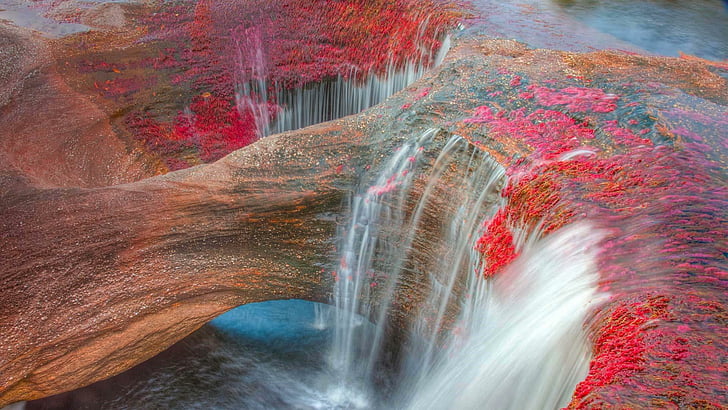 Cano Cristales: El río de los cinco colores