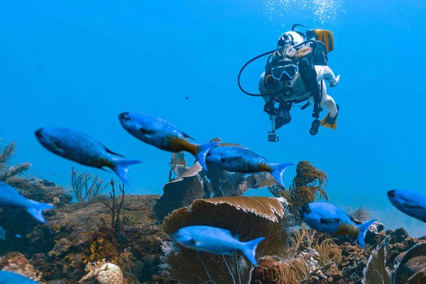 minicurso buceo, 1 inmersión