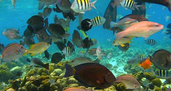 tour acuario