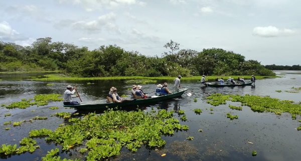 Tour de la Garza Agami