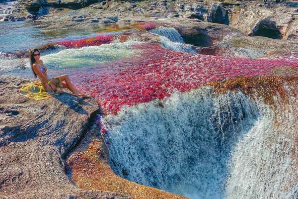 Tour Cano Cristales, experiencia completa