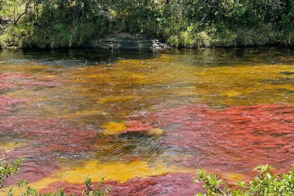 Tour Cano Cristales, experiencia completa