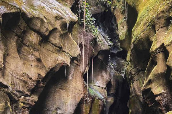 Excursión al Río Guape (Temporada Diciembre a Marzo)